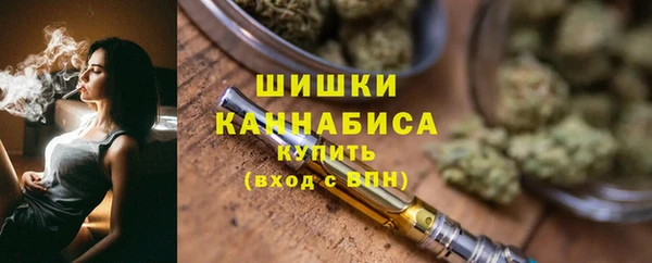 гидра Касимов