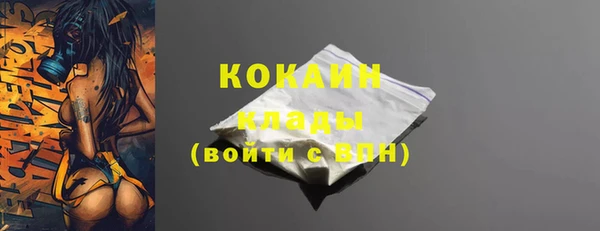 гидра Касимов