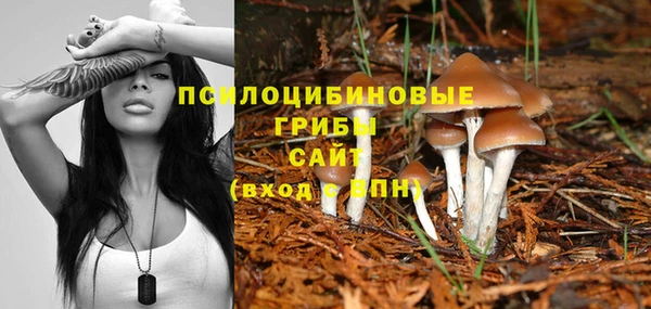гидропоника Карпинск