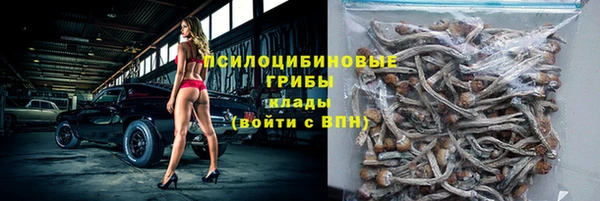 гидропоника Карпинск