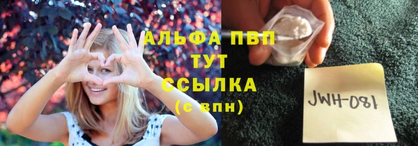 гидра Касимов